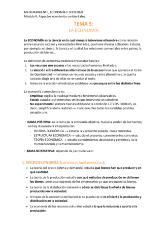 5-economia.pdf