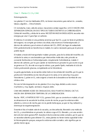 Apuntes-Complejidad-2019-2020.pdf