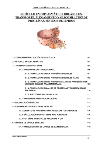 TEMA-7-RETICULO-ENDOPLASMATICO-BIOLOGIA-CELULAR.pdf