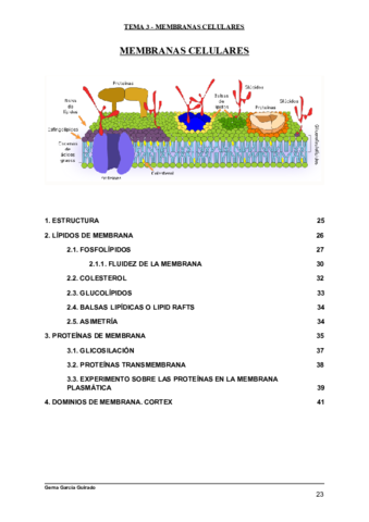 TEMA-3-MEMBRANAS-CELULARES-BIOLOGIA-CELULAR.pdf