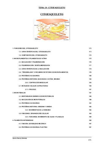 TEMA-10-CITOESQUELETO-BIOLOGIA-CELULAR.pdf