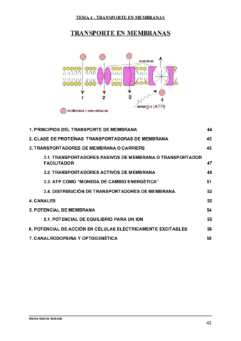 TEMA-4-TRANSPORTE-EN-MEMBRANAS-BIOLOGIA-CELULAR.pdf