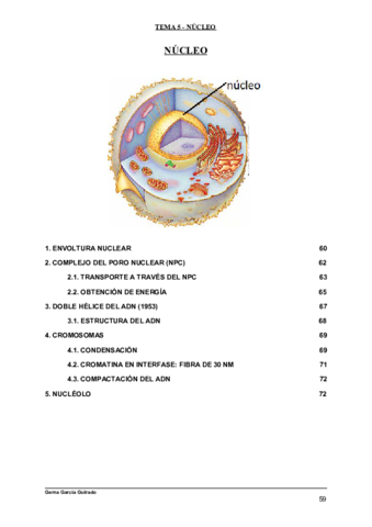TEMA-5-NUCLEO-BIOLOGIA-CELULAR.pdf