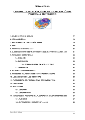 TEMA-6-CITOSOL-BIOLOGIA-CELULAR.pdf