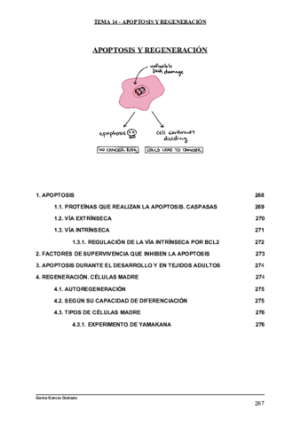 TEMA-14-APOPTOSIS-Y-REGENERACION-BIOLOGIA-CELULAR.pdf