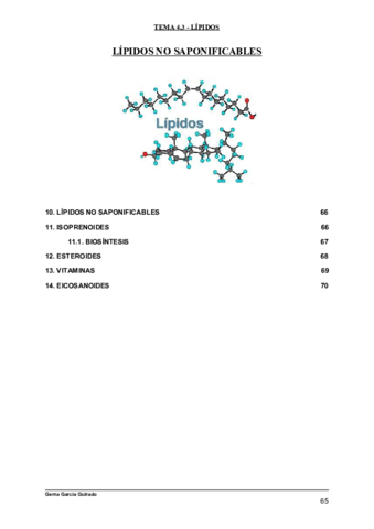 TEMA-4.pdf