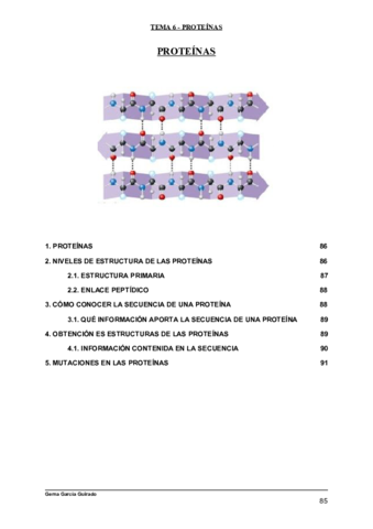 TEMA-6-PROTEINAS-BIOQUIMICA.pdf
