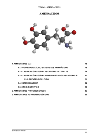 TEMA-5-AMINOACIDOS-BIOQUIMICA.pdf