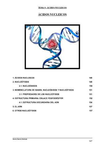 TEMA-9-ACIDOS-NUCLEICOS-BIOQUIMICA.pdf