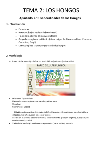 tema-2.pdf