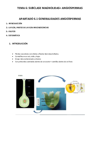 tema-6.pdf