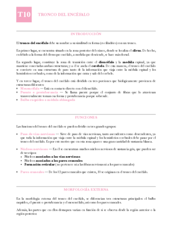 ANAT-T10-Tronco-del-encefalo.pdf