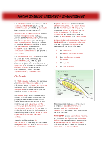 Tema-11.pdf