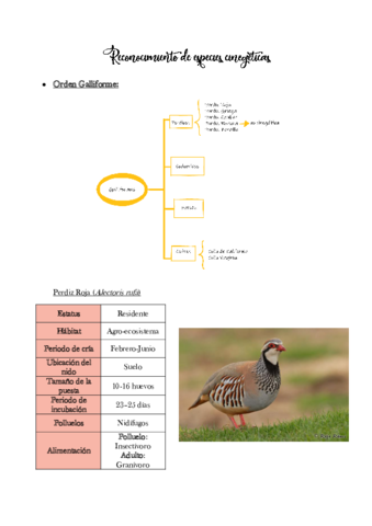 Reconocimiento-de-especies-cinegeticas.pdf