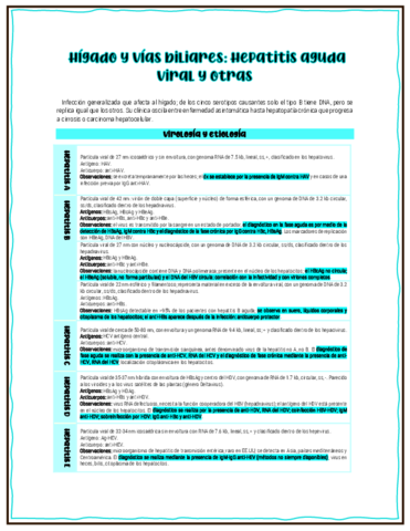 25.pdf