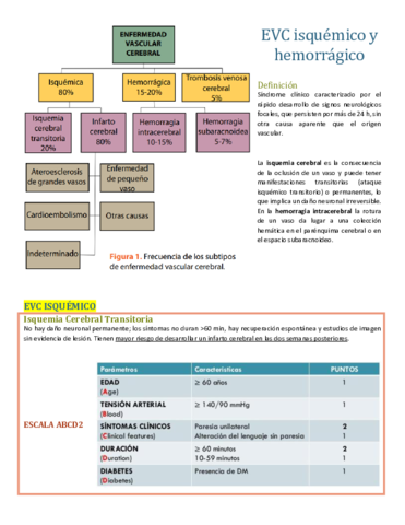 EVC-isquemico-y-hemorragico.pdf