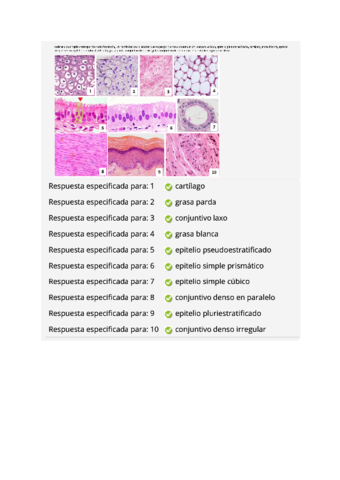 seminario-5.pdf