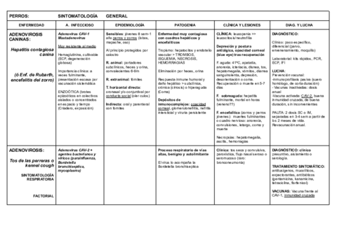 4o-PARCIAL-Rabia.pdf