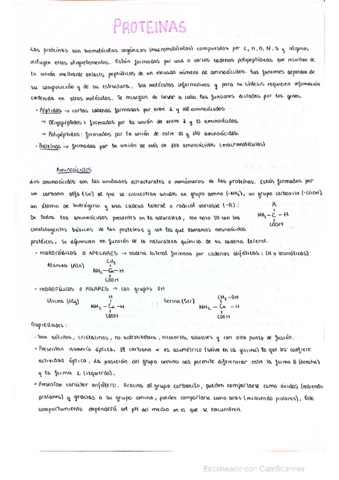 PROTEINAS-biologia-2-bach.pdf