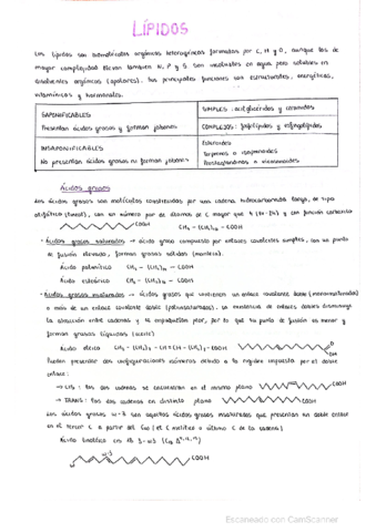 LIPIDOS-biologia-2-bach.pdf