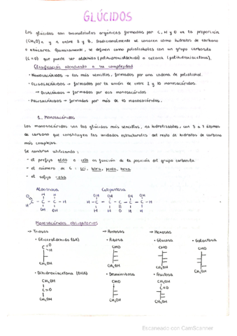 GLUCIDOS-biologia-2-bach.pdf
