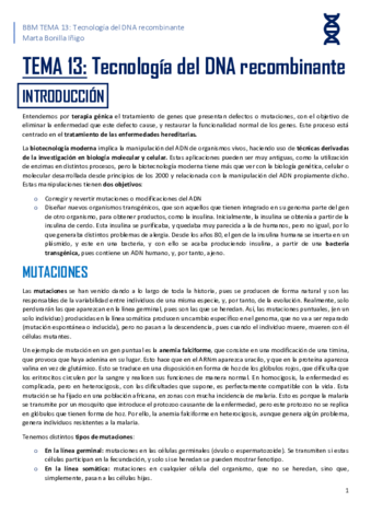 resumen-tema-13-BBM.pdf