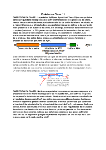Clase-11.pdf