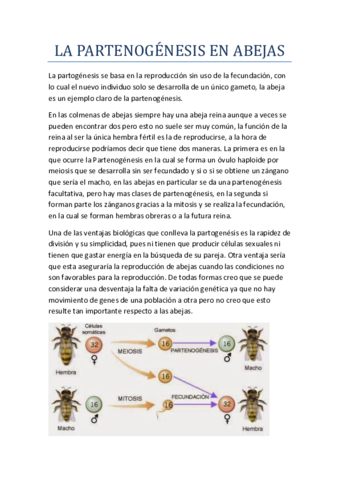 LA-PARTENOGENESIS-EN-ABEJAS.pdf