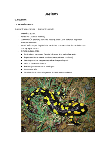 ANFIBIOS.pdf