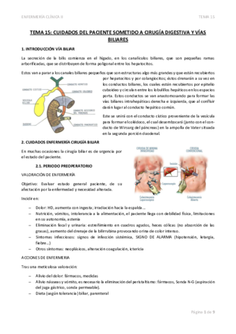 TEMA-15-CUIDADOS-DEL-PACIENTE-SOMETIDO-A-CIRUGIA-DIGESTIVA-Y-VIAS-BILIARES.pdf