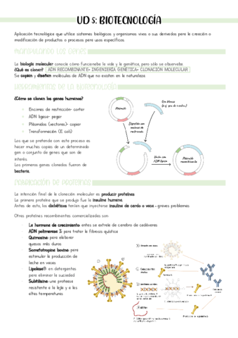 CUC-esquema-resumen-UD5.pdf