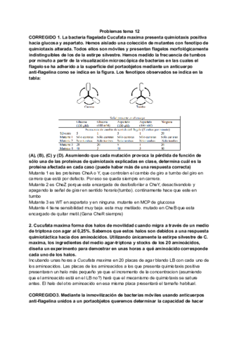 Clase-12.pdf