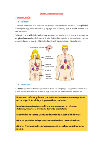 Anatomía Tema-4.pdf