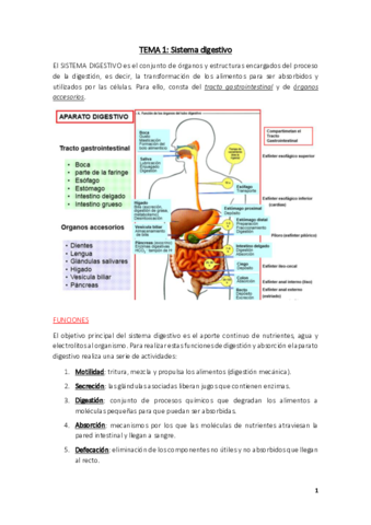 Fisiologia-Tema-1.pdf