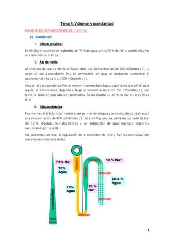 Fisiologia-Tema-4.pdf