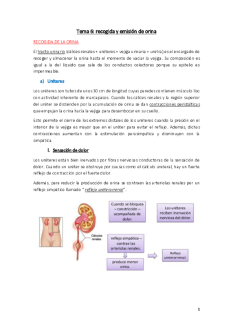 Fisiologia-Tema-6.pdf