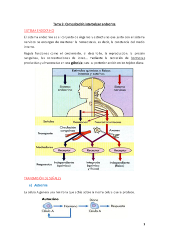 Fisiologia-Tema-9.pdf