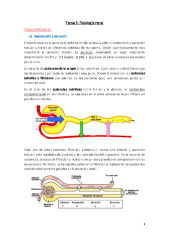 Fisiologia-Tema-3.pdf