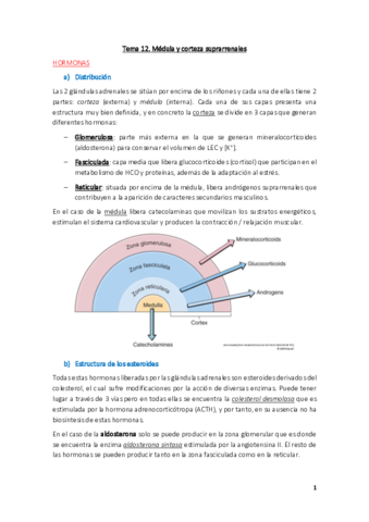 Fisiologia-Tema-12.pdf