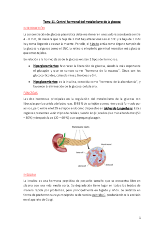 Fisiologia-Tema-11.pdf