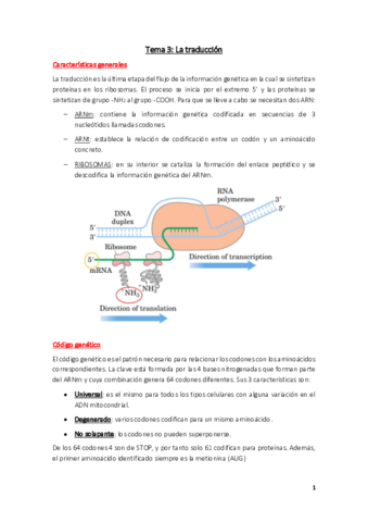 Tema-3.pdf
