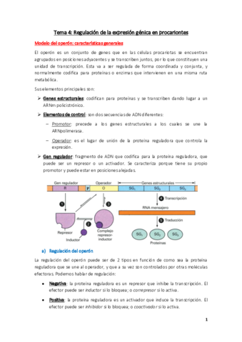 Tema-4.pdf