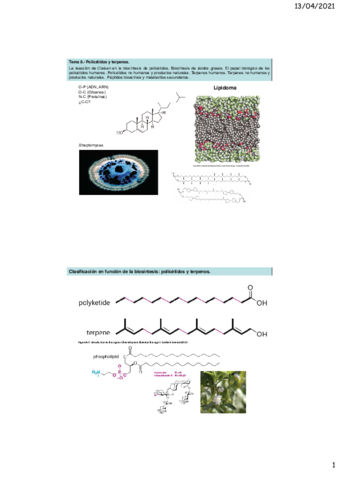 TEMA08PolicetidosTerpenos-.pdf