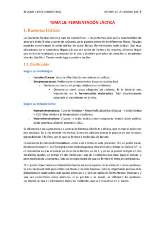 TEMA-10.pdf