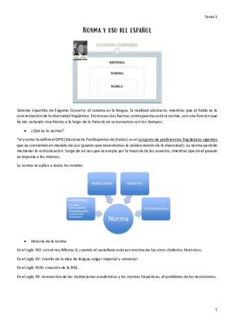 Tema-5-norma-y-uso-del-espanol.pdf