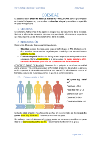 Obesidad.pdf