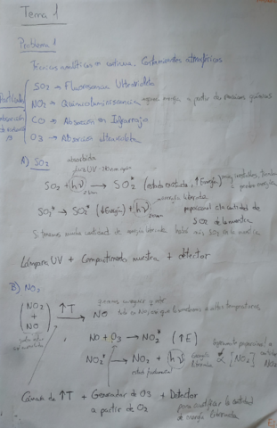 AmbientalesEjercicios.pdf