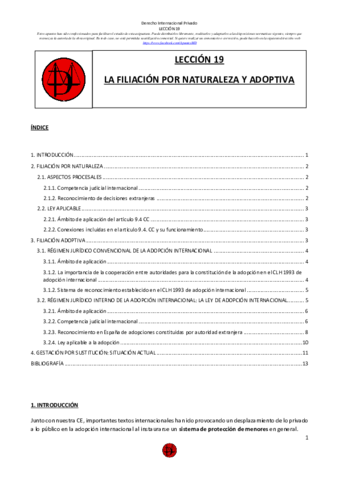 DIPr-L19.pdf