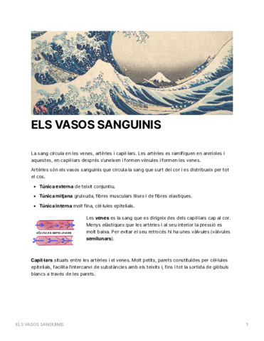 ELSVASOSSANGUINIS.pdf