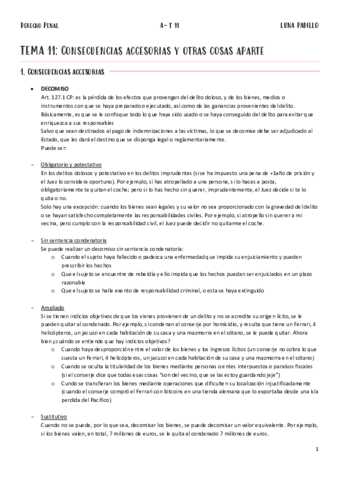 A-Penal-T11.pdf